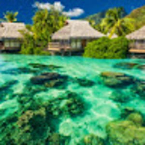 Meet your Posher, Glen